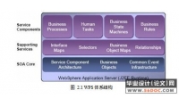 IBM WebSphere Process Server ĵҵӦ()