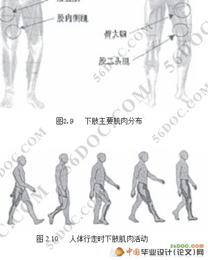 截瘫患者用下肢康复医疗机器人设计(CAXA+PROE三维造型)