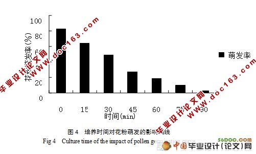芒属种质资源花粉育性的评价