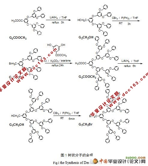 树状分子的合成