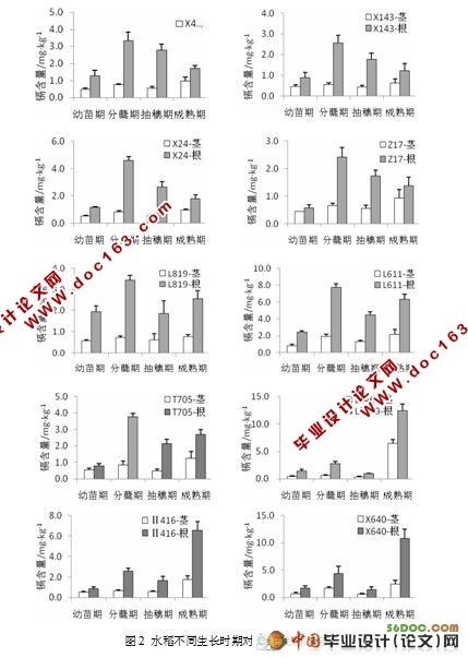 镉在不同水稻品种中的积累与分布研究