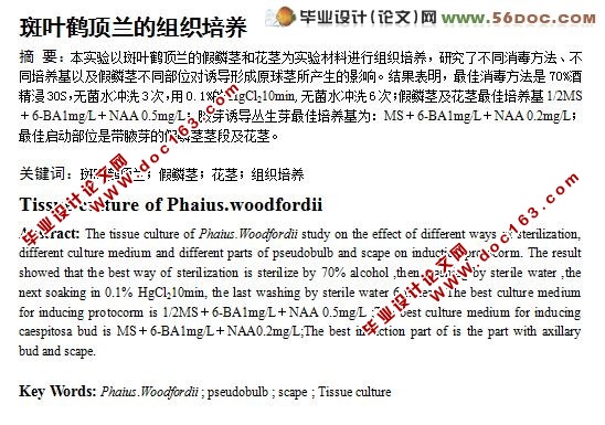 斑叶鹤顶兰的组织培养
