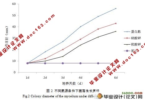 ������˿�������������о�