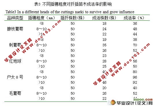 不同葡萄种类扦插成活率初探