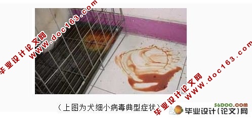 宠物犬常见传染病的调查与分析