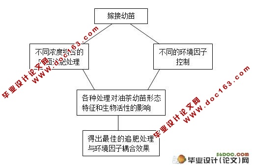 不同肥料组合浓度对油茶幼苗增高速度影响的研究
