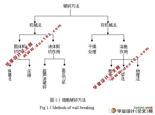 水稻稻曲病菌厚垣孢子细胞壁多糖测定