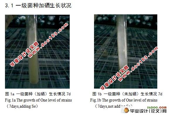 加硒培养对香菇生长的影响