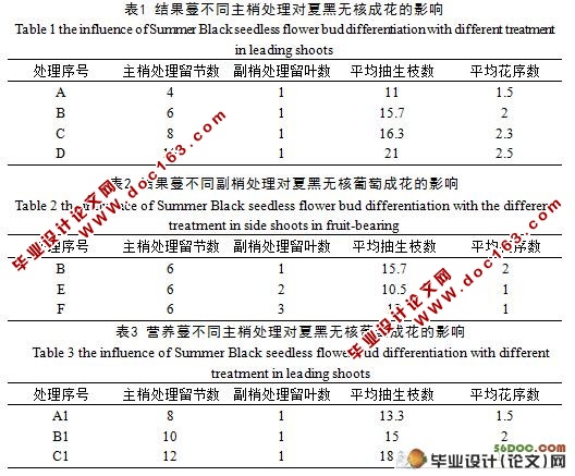 夏季修剪对夏黑无核葡萄花芽形成与产量的影响