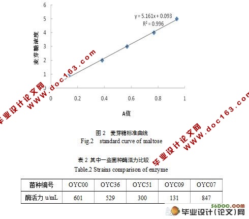 一株酸性淀粉酶产生菌的筛选与发酵条件的优化