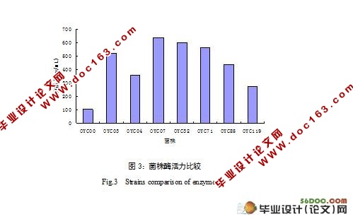 一株酸性淀粉酶产生菌的筛选与发酵条件的优化