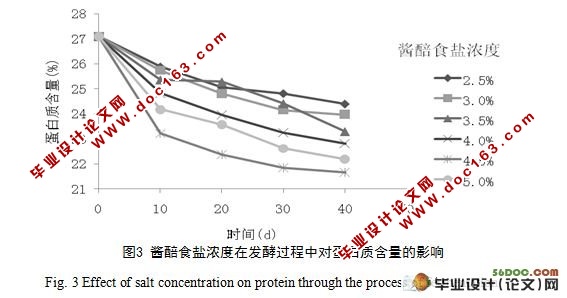 蚕豆酱发酵过程中蛋白质变化的研究