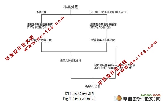 白腐乳中耐热性微生物分离及安全性评价的研究