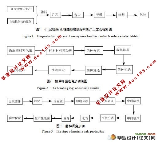 年产3000万粒α-淀粉酶-山楂提取物肠溶片生产工艺设计