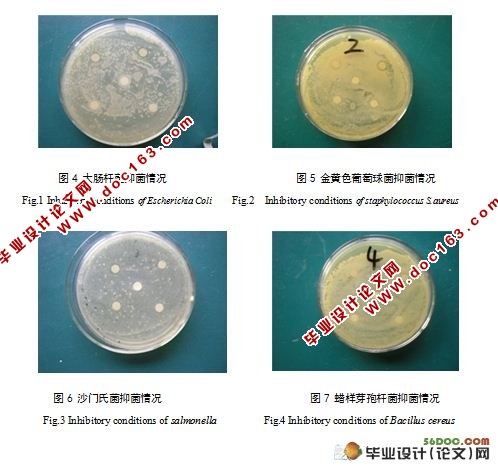 刺葡萄酒中抗菌活性成分分析及其抗菌谱研究