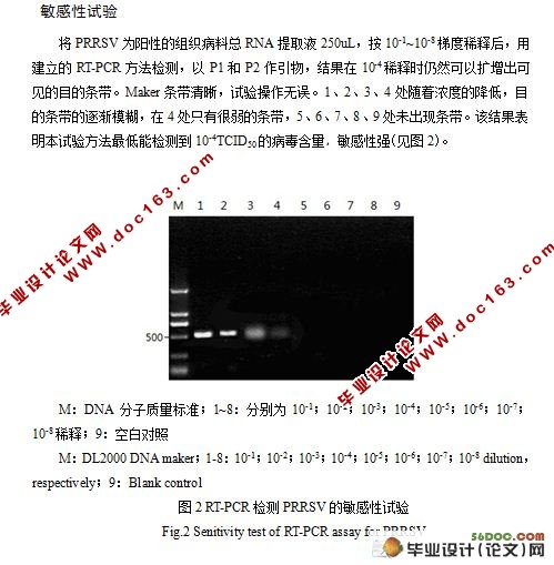 RT-PCR(