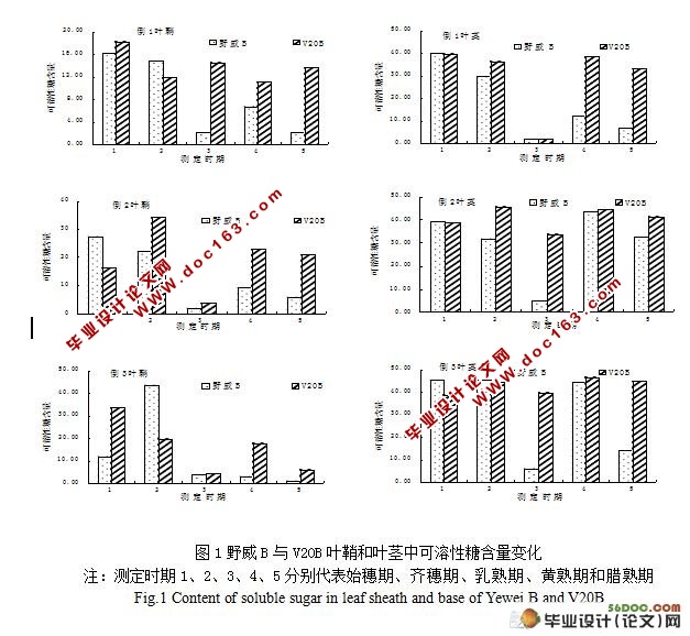 转小粒野生稻基因种质野威B的产量与米质性状