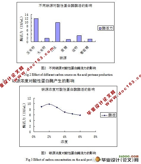 酸性蛋白酶高产菌株的筛选及产酶条件研究