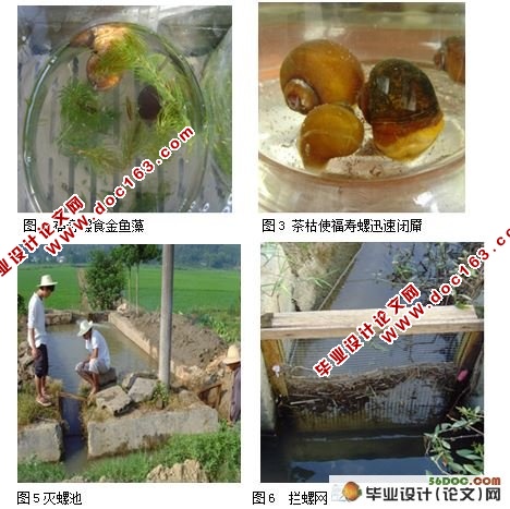 福寿螺体内纤维素酶和淀粉酶的初步研究