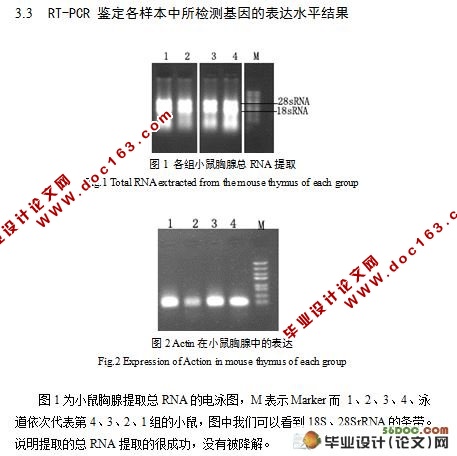 当归补血汤对小鼠胸腺衰老的分子调节