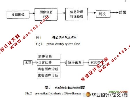 水稻病虫害图像识别系统的设计与实现(附答辩)