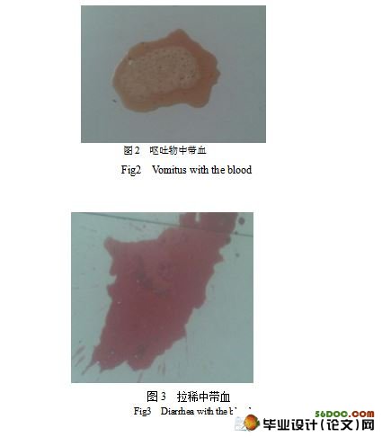 北京市房山区犬细小病毒病的调查及治
