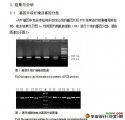 猪sFBP基因5’-UTR一个InsDel的检测及与窝产仔数性状关联分析