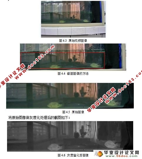 基于视频的罗非鱼检测设计与开发(MATLAB)