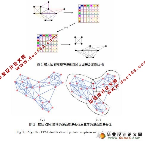 在蛋白质相互作用网络中挖掘蛋白质复合体的研究(附答辩)
