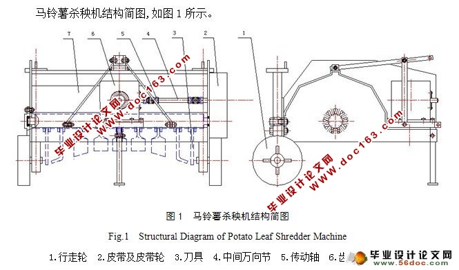 马铃薯杀秧机的设计(农业机械)