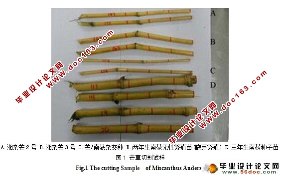 芒草力学特性与微观结构研究(农业工程)
