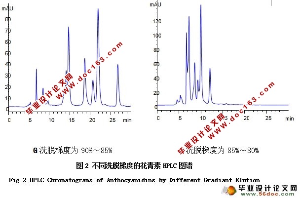 高效液相色谱法分析花青素组分及其含量测定