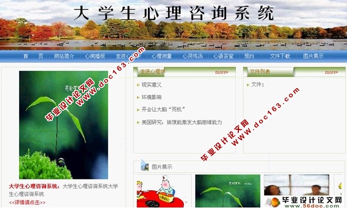 大学生心理咨询网站系统的设计与实现(ASP.NET,SQL)