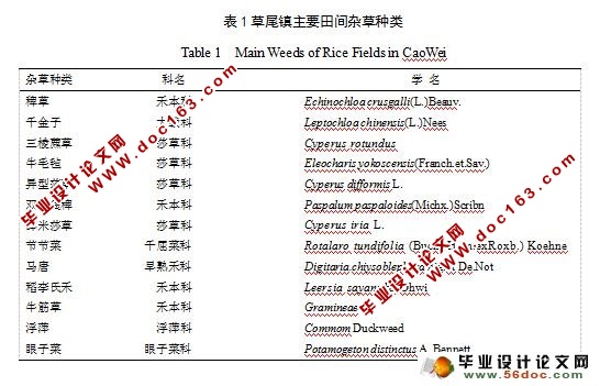 南方水稻杂草种类调查