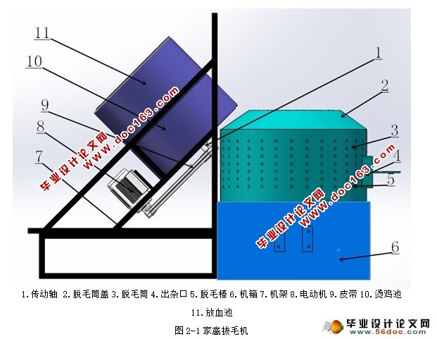 家禽拔毛机的设计(农业机械)(含CAD图,SolidWorks三维)