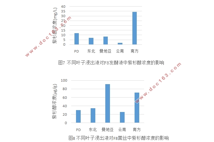 红豆杉叶子浸出液对内生真菌产紫杉醇含量的影响