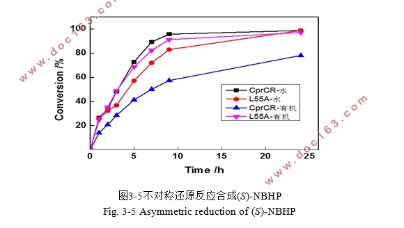 羰基还原酶CprCR催化性能提高的定点突变分子改造