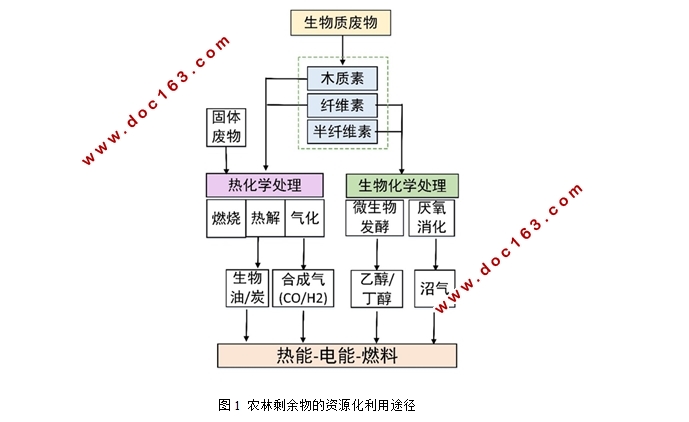 农林剩余物与钙基添加剂共热解/燃烧热重分析及其动力学研究