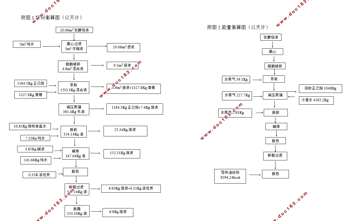 年产100吨花生四烯酸分离工艺流程设计(制药工程)(含CAD图)
