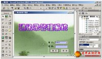¼ʵ